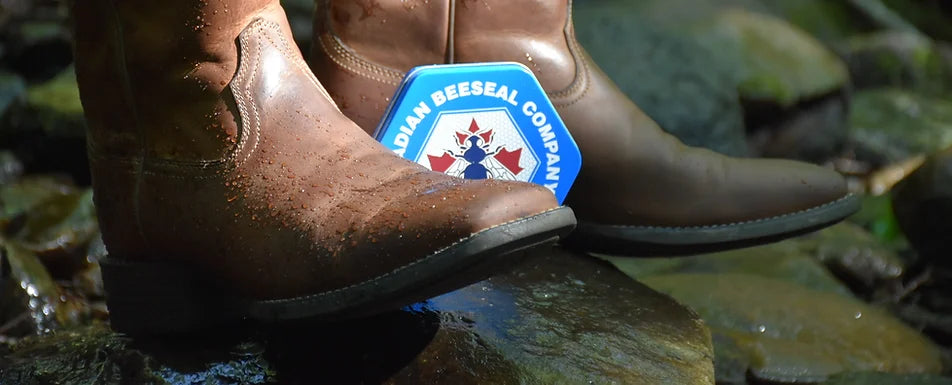 Canadian Beeseal | Leather Conditioner